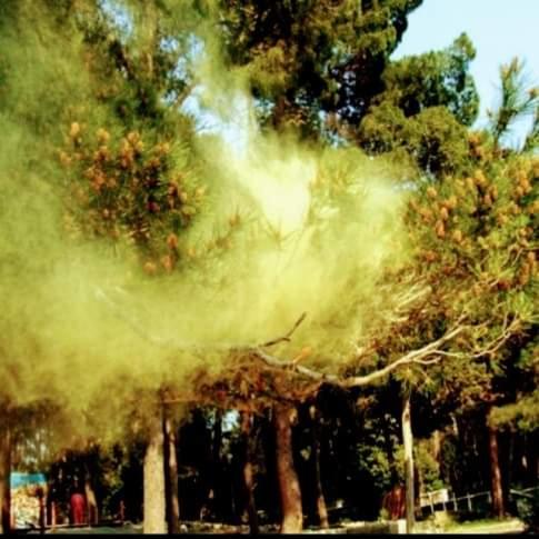 Haystack - Room 127 room 6